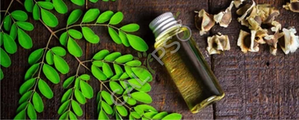 Koop 100% pure Moringa etherische olie voor de huid
